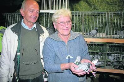 Grabenitz - Tauben wechseln für guten Zweck Besitzer