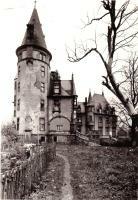 Schloss Klink 1951 Ruine